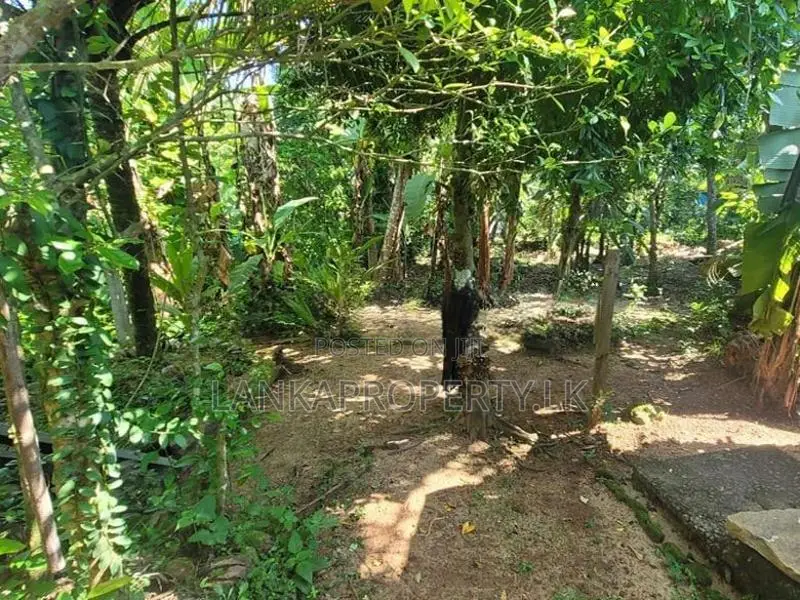 Residential Land for Sale – Udugampola, Gampaha.