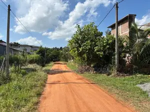 අනුරාධපුරයේ වටිනා ඉඩමක් විකිණීමට Land for Sale in Anuradhapura