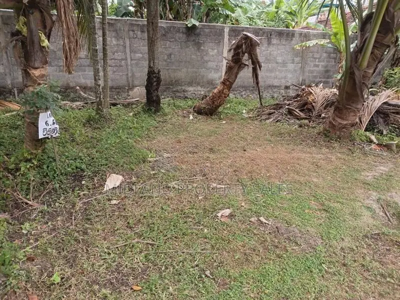පර්චස් 6.5 ක ඉඩමක් මහබාගේ වැලිසරින්