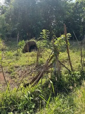 අනුරාධපුරයේ වටිනා ඉඩමක් විකිණීමට Land for Sale in Anuradhapura