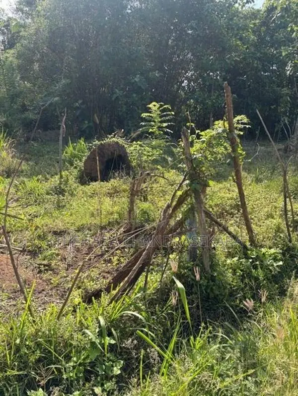 අනුරාධපුරයේ වටිනා ඉඩමක් විකිණීමට Land for Sale in Anuradhapura