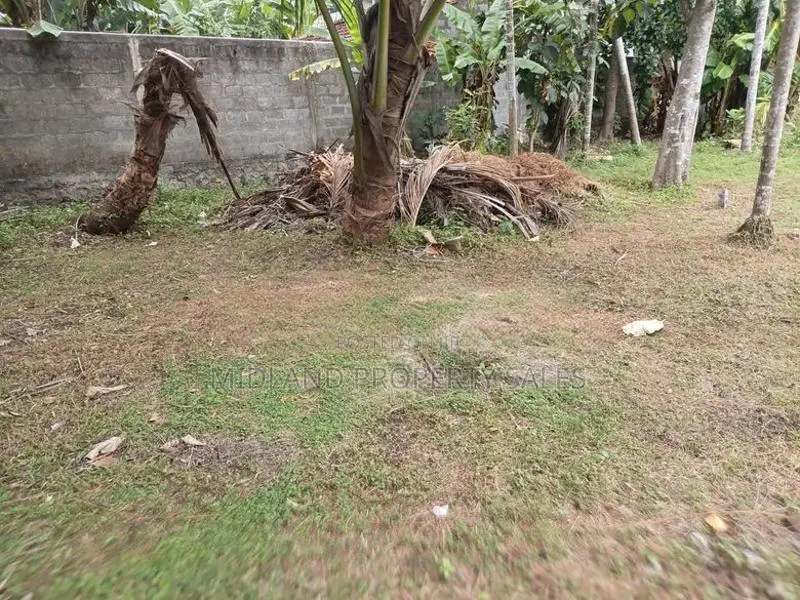 පර්චස් 6.5 ක ඉඩමක් මහබාගේ වැලිසරින්