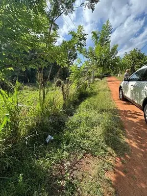අනුරාධපුරයේ වටිනා ඉඩමක් විකිණීමට Land for Sale in Anuradhapura