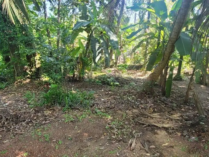 Residential Land for Sale – Udugampola, Gampaha.