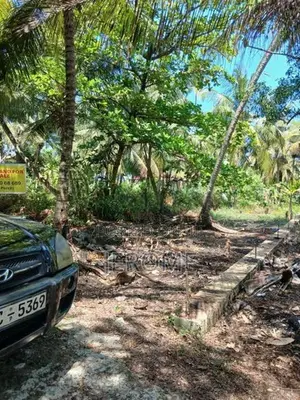 Land in Uswetakeiyawa- Wattala