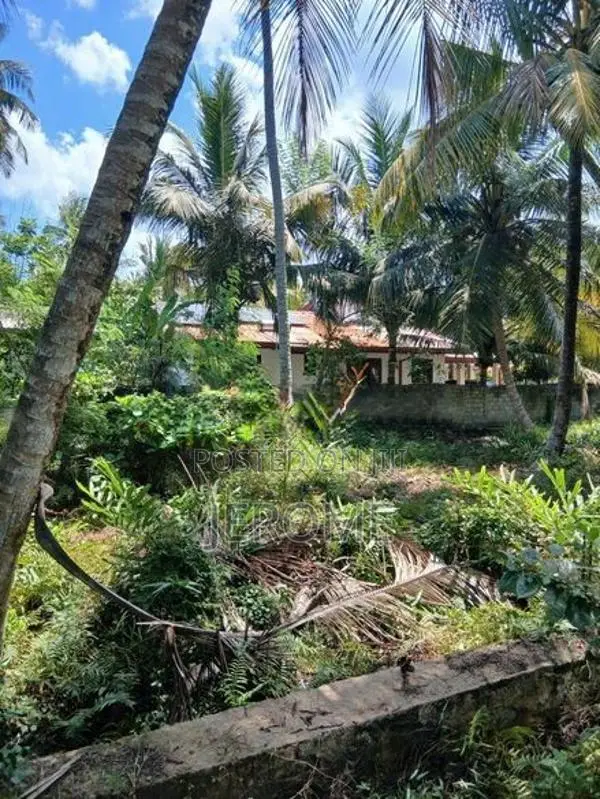 Land in Uswetakeiyawa- Wattala
