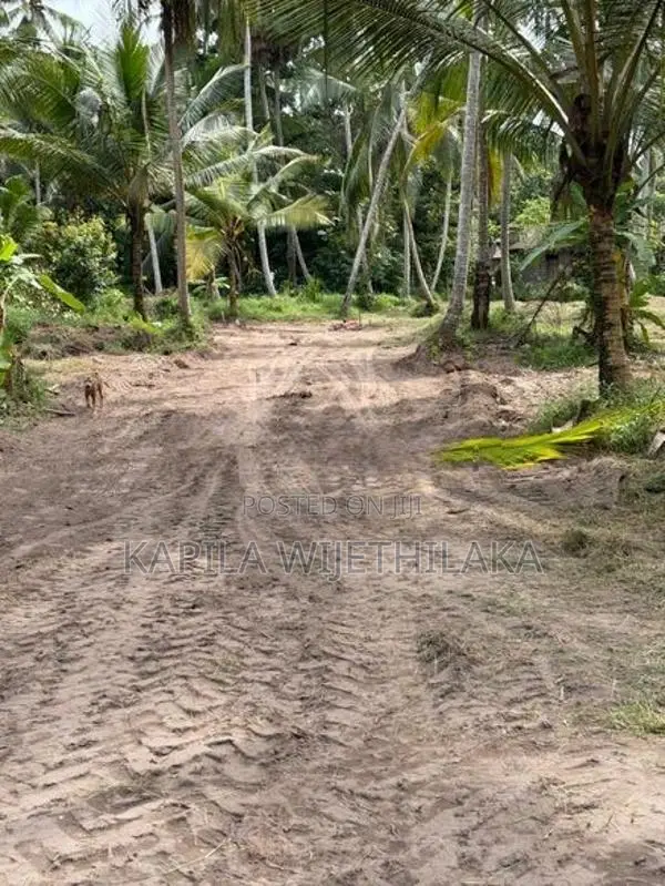 Land for Sale in Gampaha