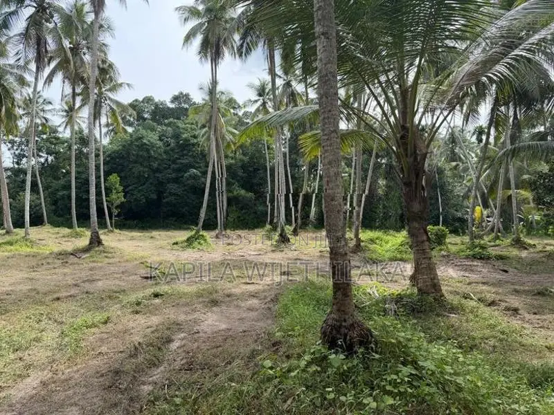 Land for Sale in Gampaha