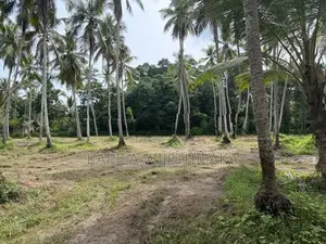 Land for Sale in Gampaha
