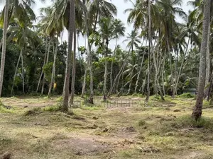 Land for Sale in Gampaha