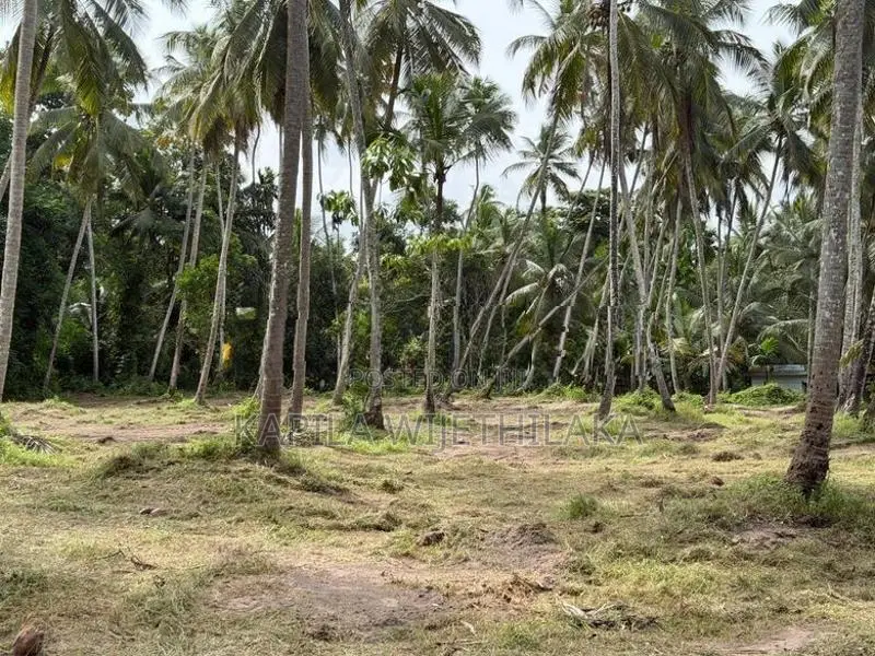 Land for Sale in Gampaha