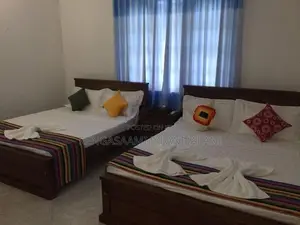 Fully Furnished Luxury Vila Sale Negombo