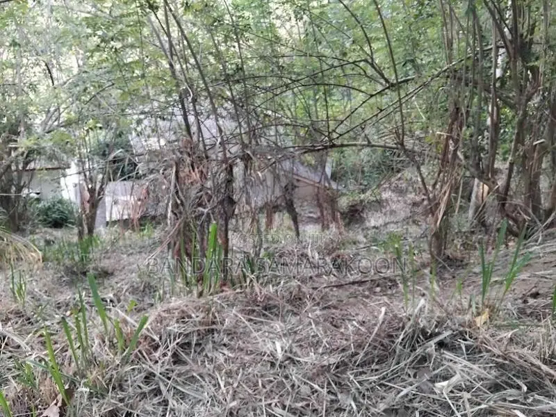 Land for Sale in Ampitiya