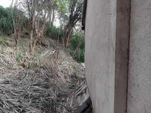 Land for Sale in Ampitiya