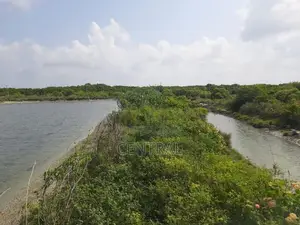 PRIME 21-ACRE PROPERTY FOR SALE – KANDAKUDUWA, KALPITIYA (C7-10203)