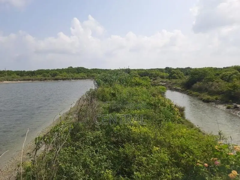 PRIME 21-ACRE PROPERTY FOR SALE – KANDAKUDUWA, KALPITIYA (C7-10203)