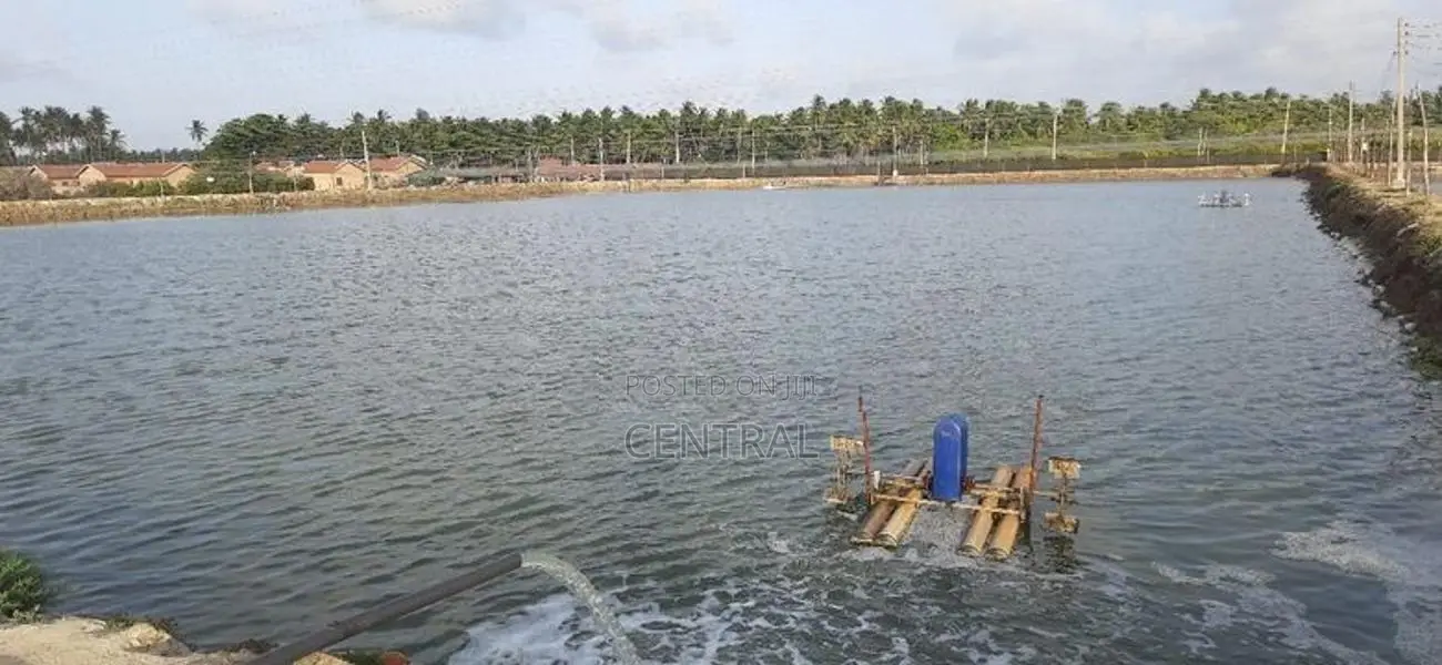 PRIME 21-ACRE PROPERTY FOR SALE – KANDAKUDUWA, KALPITIYA (C7-10203)