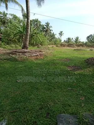 Minuwangoda Kotugoda 40 Container Access Land for Sale Warehouse Facto