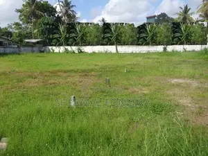 Katunayake Seeduwa Land with 20ft Road for Sale 50m to Colombo rd