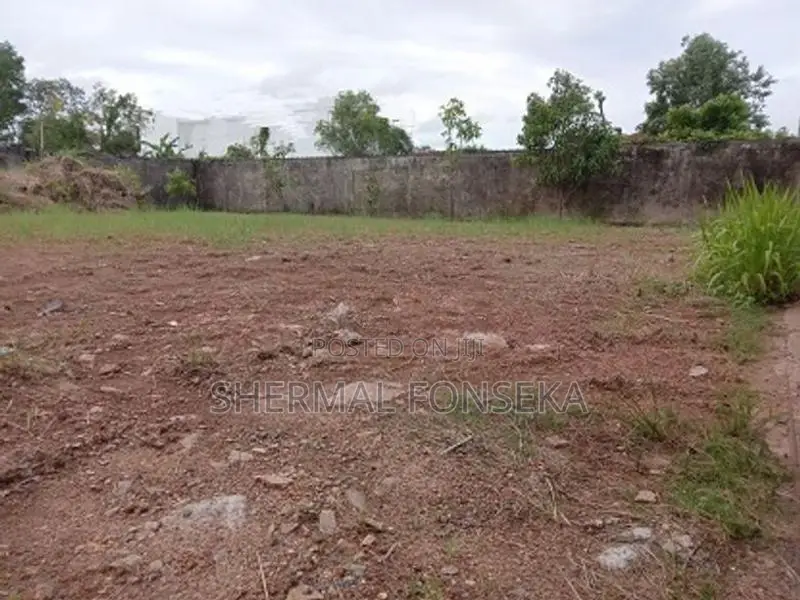 Katunayake Seeduwa Land with 20ft Road for Sale 50m to Colombo rd