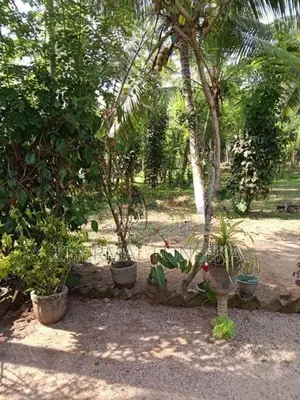 Minuwangoda Kotugoda 40 Container Access Land for Sale Warehouse Facto