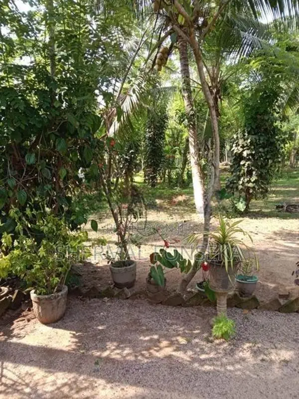 Minuwangoda Kotugoda 40 Container Access Land for Sale Warehouse Facto