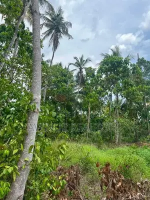 175 Perch Land for Sale in Homagama (LA4716)