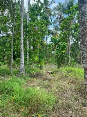 175 Perch Land for Sale in Homagama (LA4716)