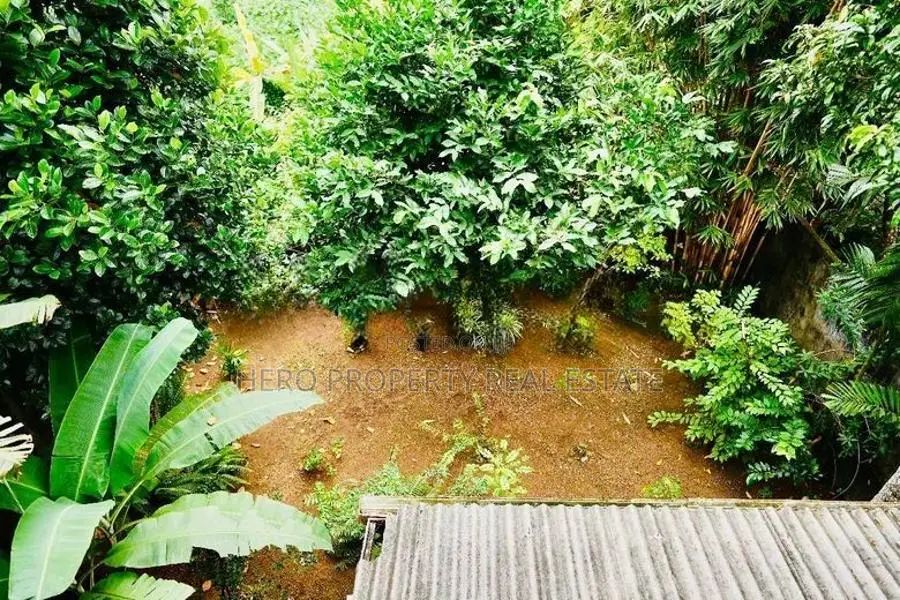 Naturally Designed Luxury House for Rent in Malabe