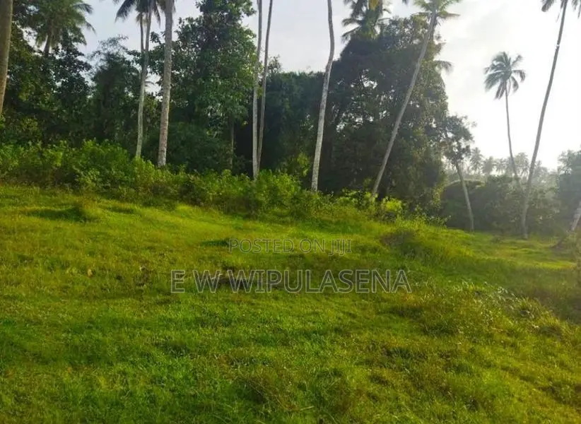 10 PERCH LAND FOR SALE in GODAGAMA Madulawa