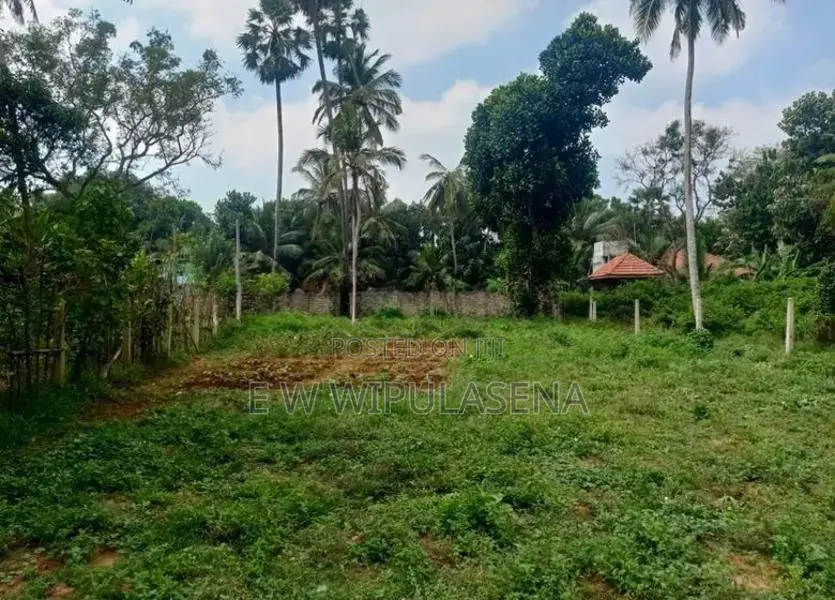 10 PERCH LAND FOR SALE in GODAGAMA Madulawa