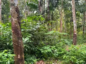6.8 Acre Land for Sale in Hanwella (LA4730)