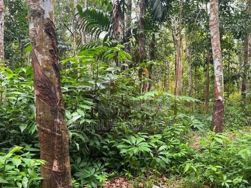 6.8 Acre Land for Sale in Hanwella (LA4730)
