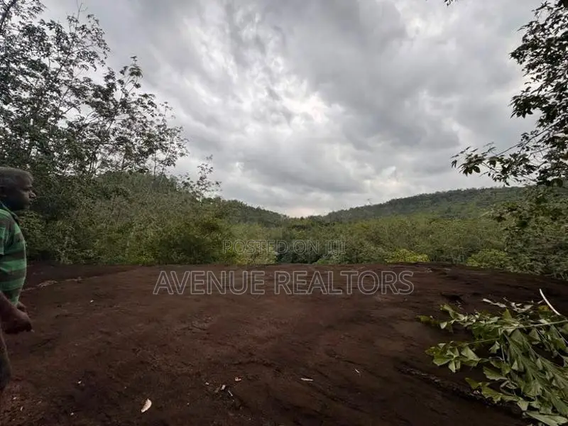 6.8 Acre Land for Sale in Hanwella (LA4730)