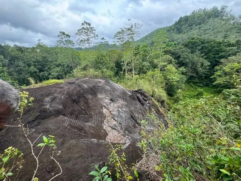 6.8 Acre Land for Sale in Hanwella (LA4730)