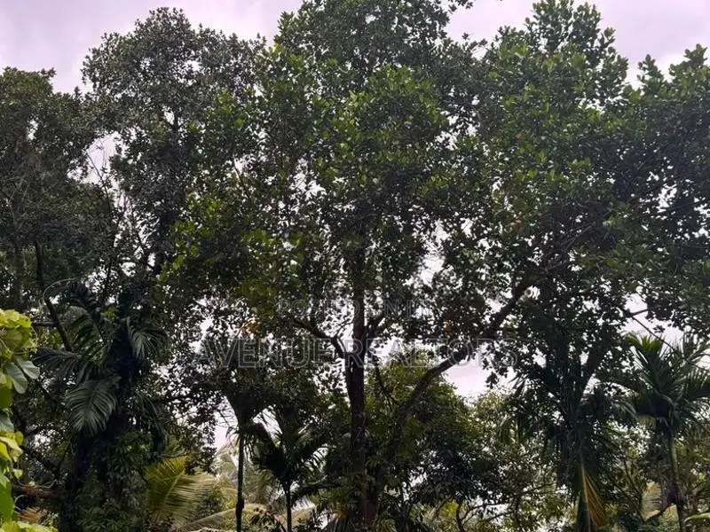 6.8 Acre Land for Sale in Hanwella (LA4730)