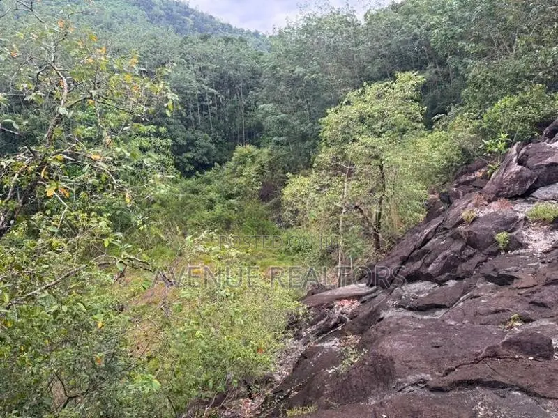 6.8 Acre Land for Sale in Hanwella (LA4730)