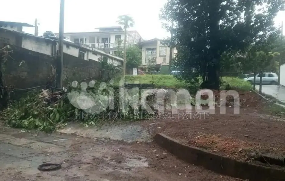 Valuable Land for Rent in Pannipitiya