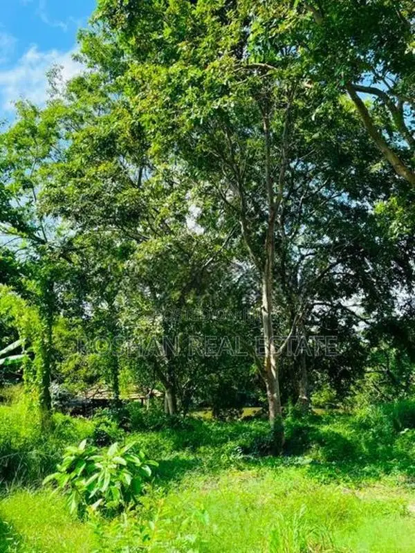 BARE LAND FOR SALE WENNAPPUWA NA2702