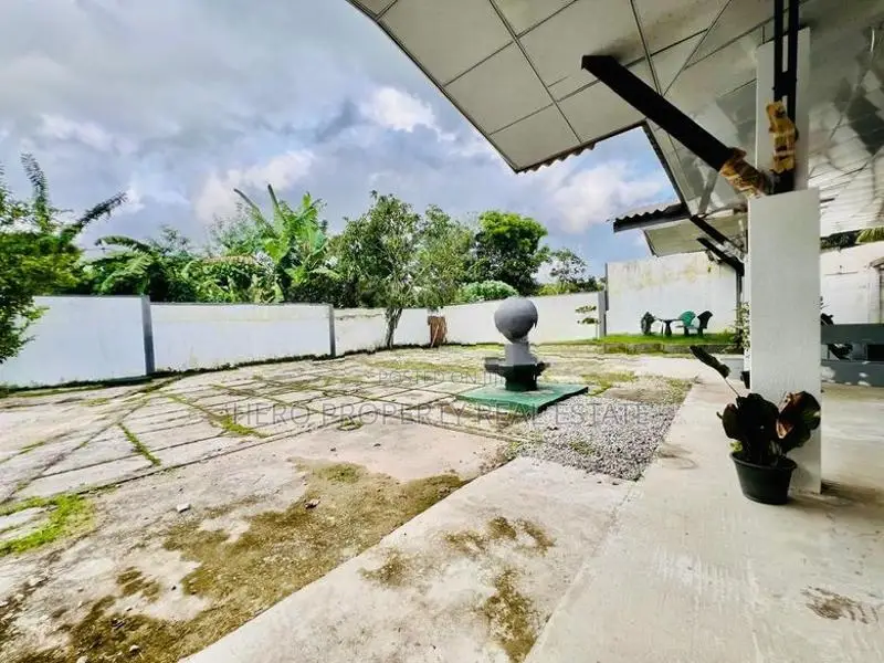 Quality Guest for Sale in Kottawa