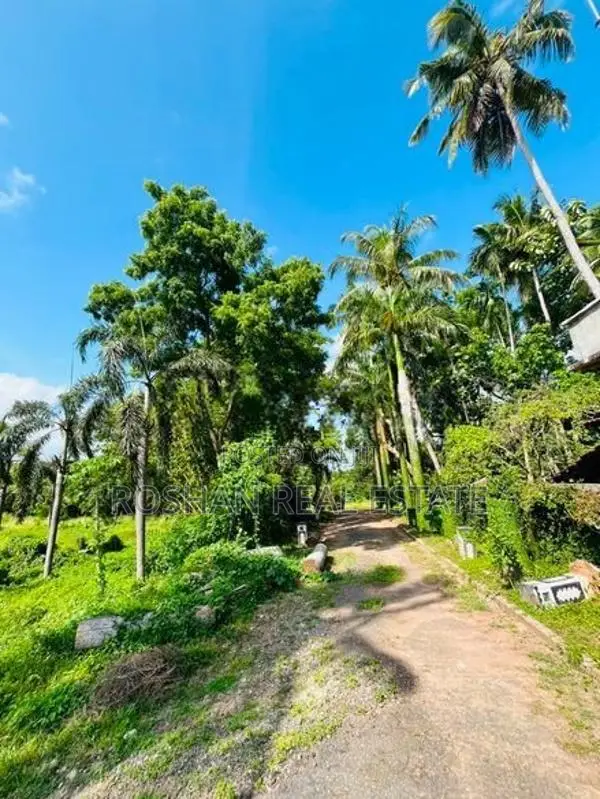 BARE LAND FOR SALE WENNAPPUWA NA2702