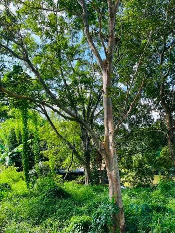 BARE LAND FOR SALE WENNAPPUWA NA2702