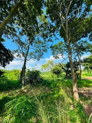 5 Acre Land for Sale in Wennappuwa (LA4747)