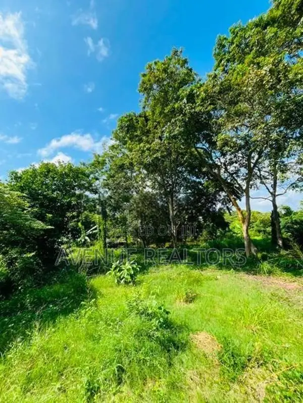 5 Acre Land for Sale in Wennappuwa (LA4747)