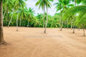 Land for Sale in Kurunegala Melsiripura Y 21