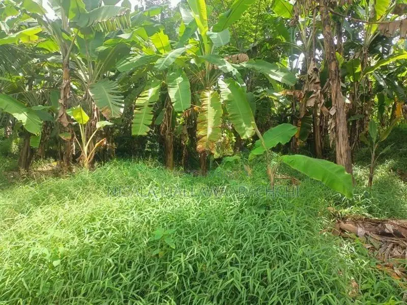 Land for Sale in Pannipitiya