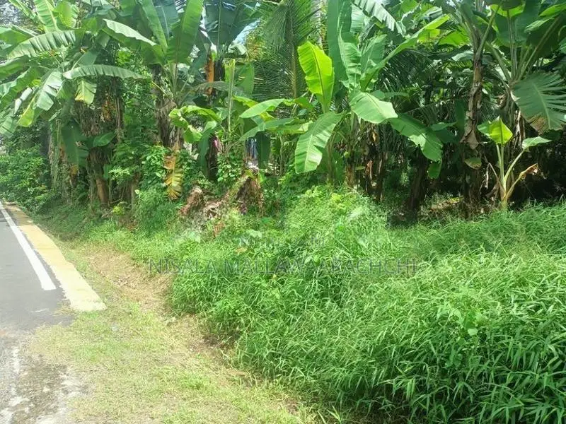 Land for Sale in Pannipitiya