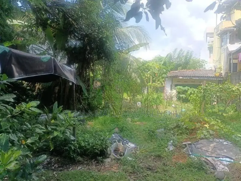 Valuable Land for Sale in Kalubowila