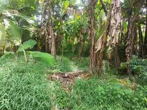 Land for Sale in Pannipitiya