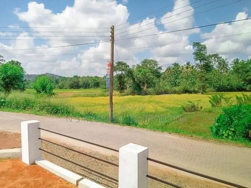Valuable Land for Sale in Dambadeniya - H01